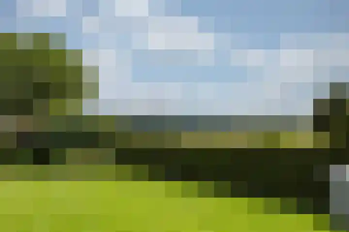 Dorpskant 4 Kilder thumbnail 86