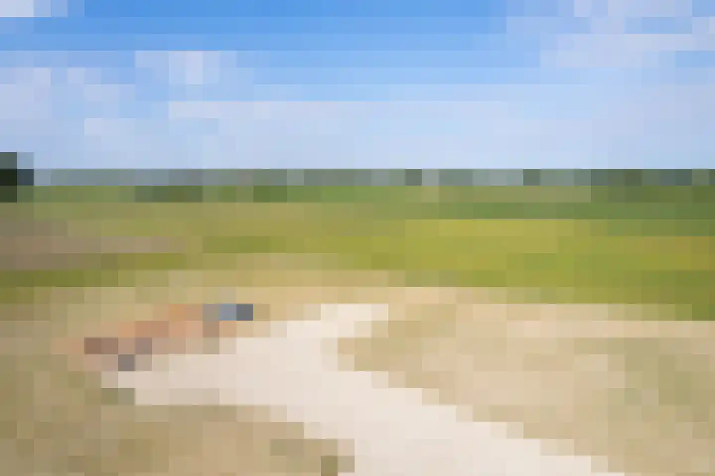 Dorpspad 1 Vogelwaarde