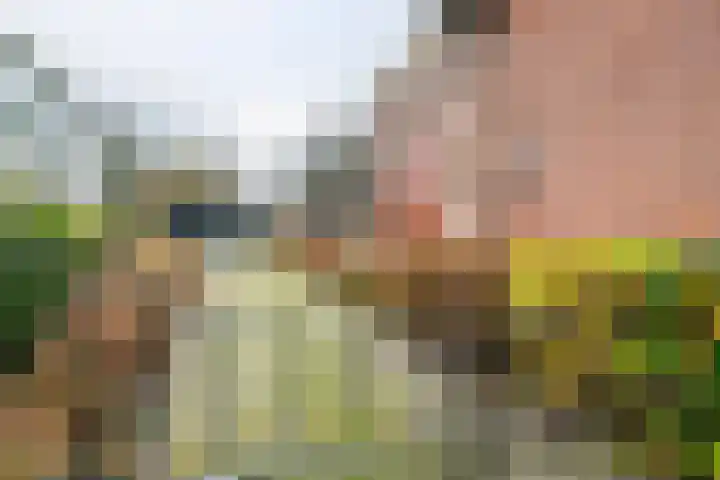 Dorpsplein 2 Est thumbnail 10