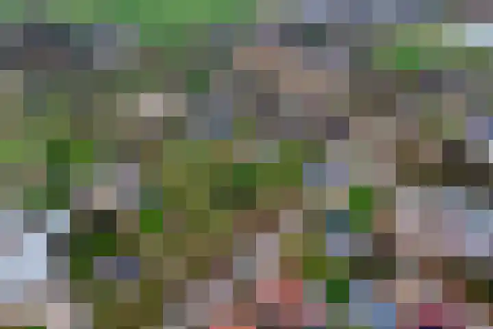 Dorpsplein 2 Est thumbnail 101
