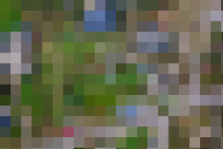 Dorpsplein 2 Est thumbnail 104