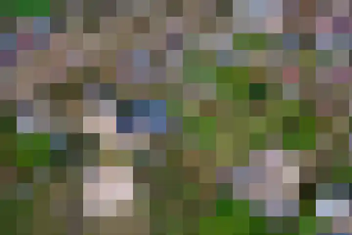 Dorpsplein 2 Est thumbnail 105