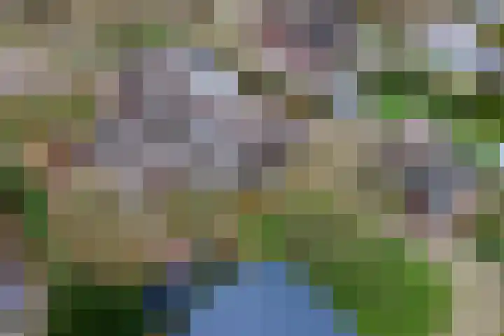 Dorpsplein 2 Est thumbnail 107