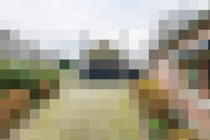 Dorpsplein 2 Est thumbnail 11