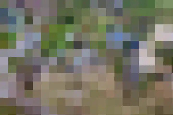Dorpsplein 2 Est thumbnail 110