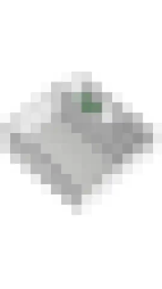 Dorpsplein 2 Est thumbnail 118