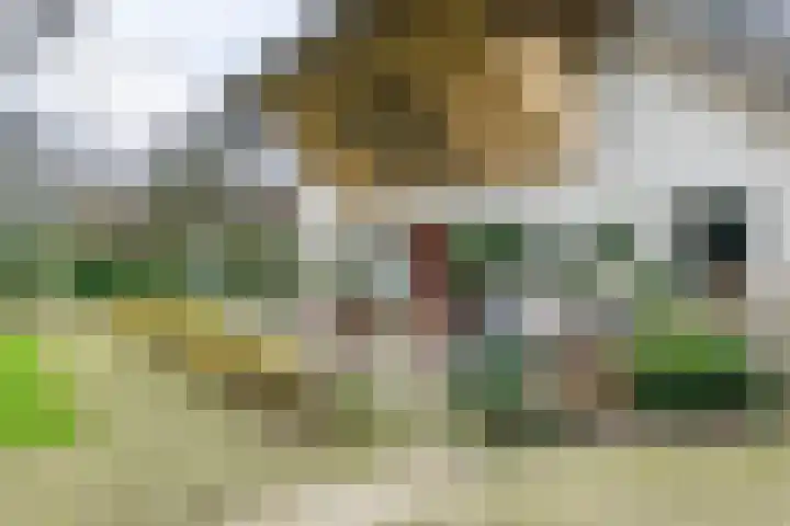 Dorpsplein 2 Est thumbnail 12