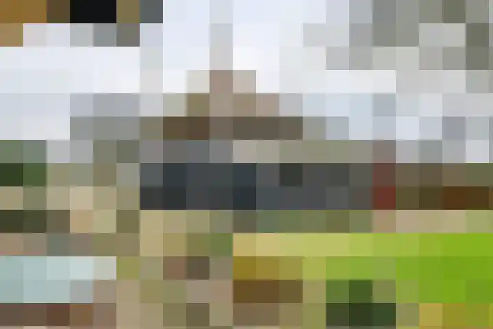 Dorpsplein 2 Est thumbnail 13