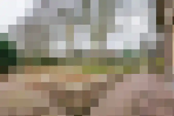 Dorpsplein 2 Est thumbnail 17