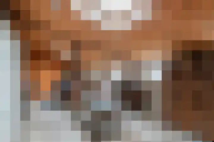 Dorpsplein 2 Est thumbnail 21