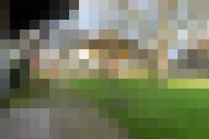 Dorpsplein 2 Est thumbnail 22