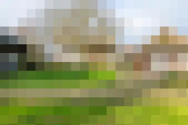 Dorpsplein 2 Est thumbnail 23