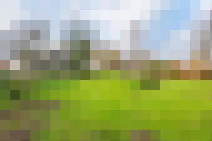 Dorpsplein 2 Est thumbnail 25