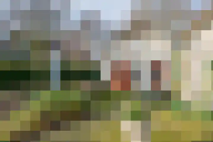 Dorpsplein 2 Est thumbnail 28