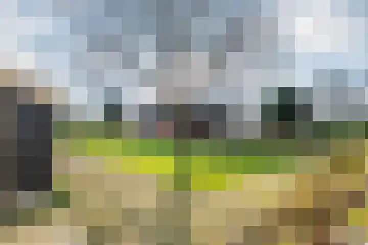 Dorpsplein 2 Est thumbnail 29