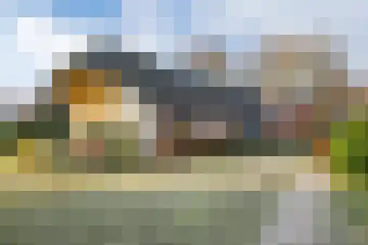Dorpsplein 2 Est thumbnail 30