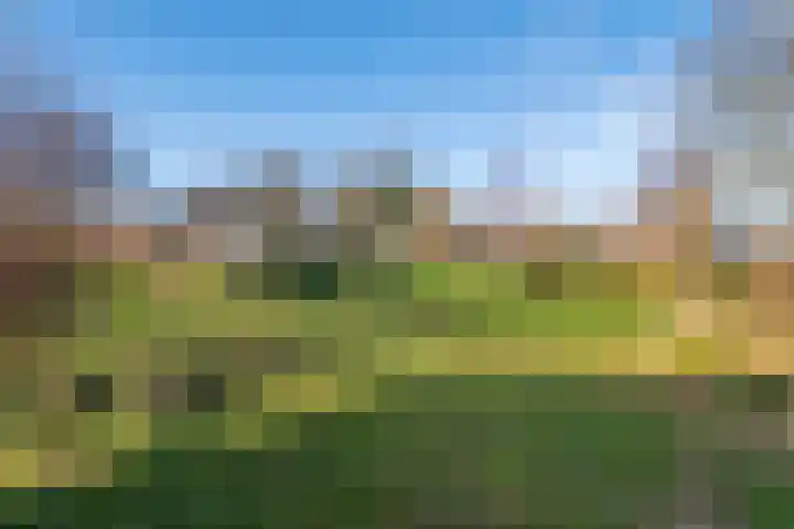 Dorpsplein 2 Est thumbnail 36