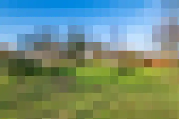 Dorpsplein 2 Est thumbnail 37