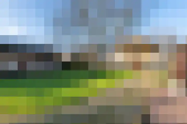 Dorpsplein 2 Est thumbnail 39