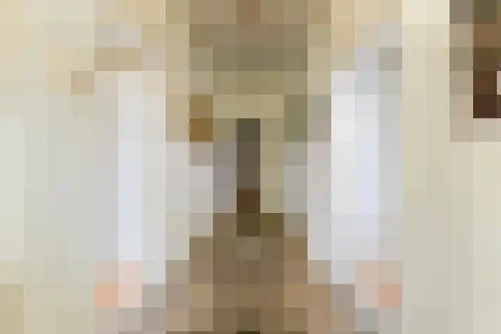 Dorpsplein 2 Est thumbnail 41