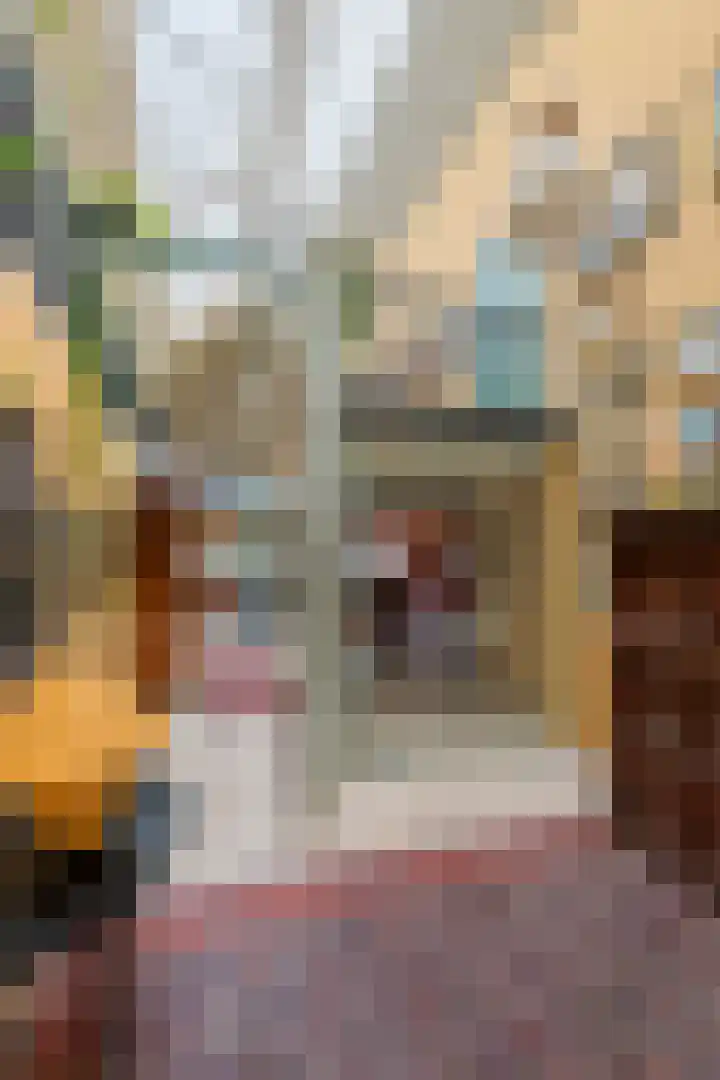 Dorpsplein 2 Est thumbnail 54