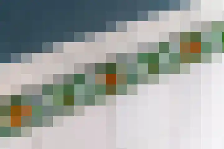 Dorpsplein 2 Est thumbnail 85