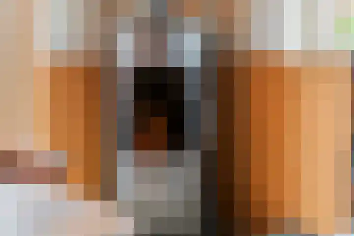 Dorpsplein 2 Est thumbnail 89