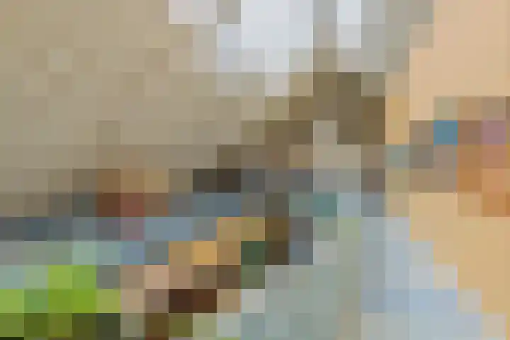 Dorpsplein 2 Est thumbnail 94
