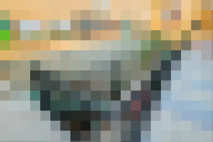 Dorpsplein 2 Est thumbnail 97