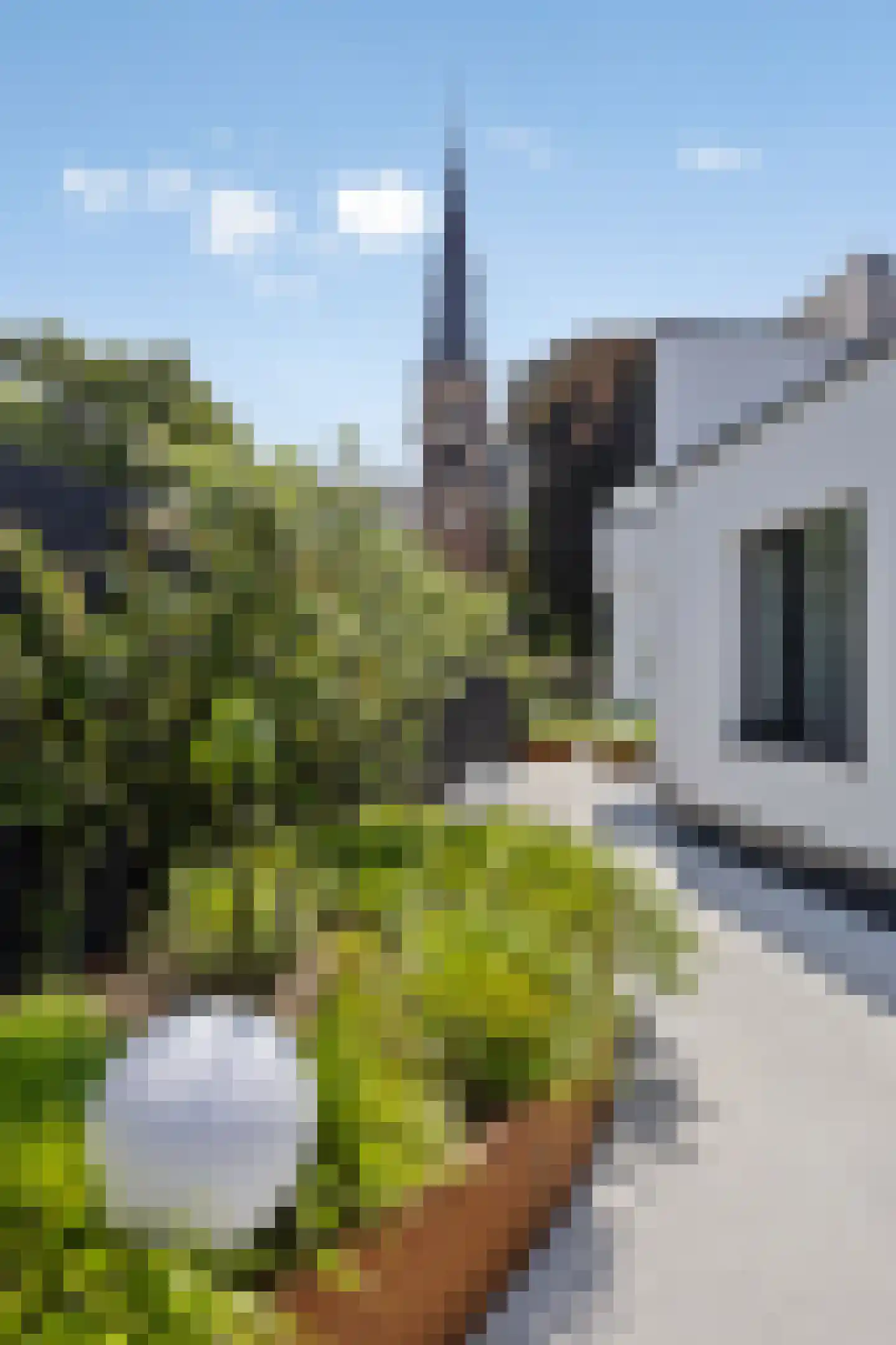 Dorpsplein 2 Zuiddorpe thumbnail 5