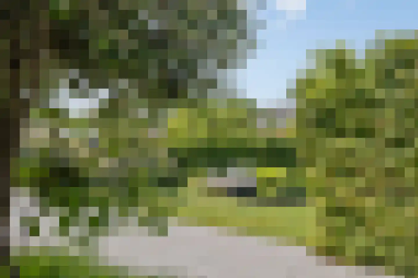 Dorpsplein 2 Zuiddorpe thumbnail 53