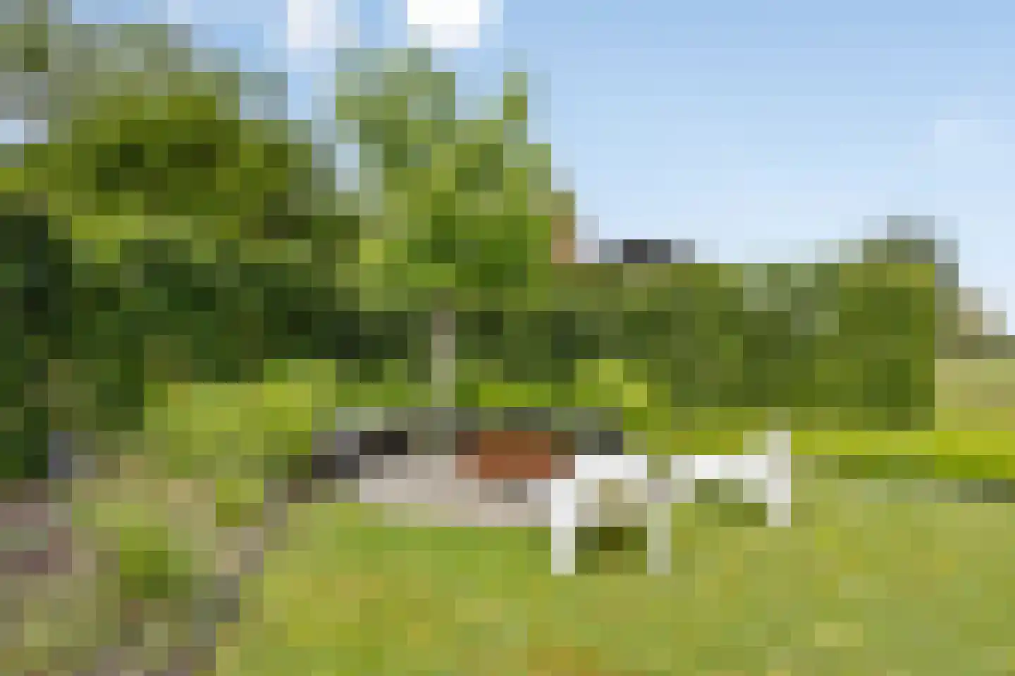 Dorpsplein 2 Zuiddorpe thumbnail 56