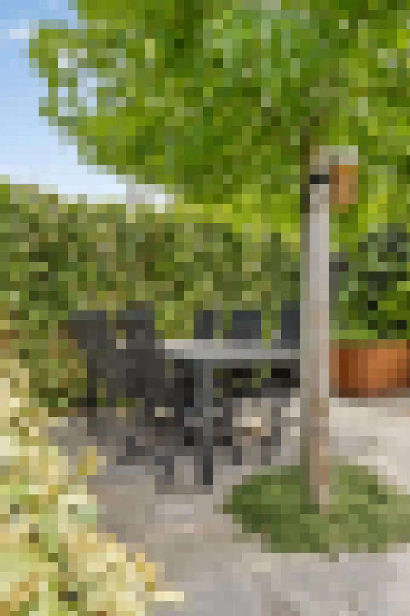 Dorpsplein 2 Zuiddorpe thumbnail 58