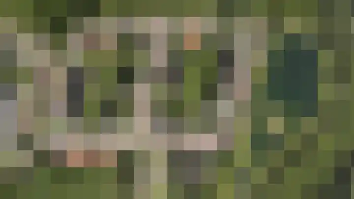 Dorpsplein 30 Wekerom thumbnail 6