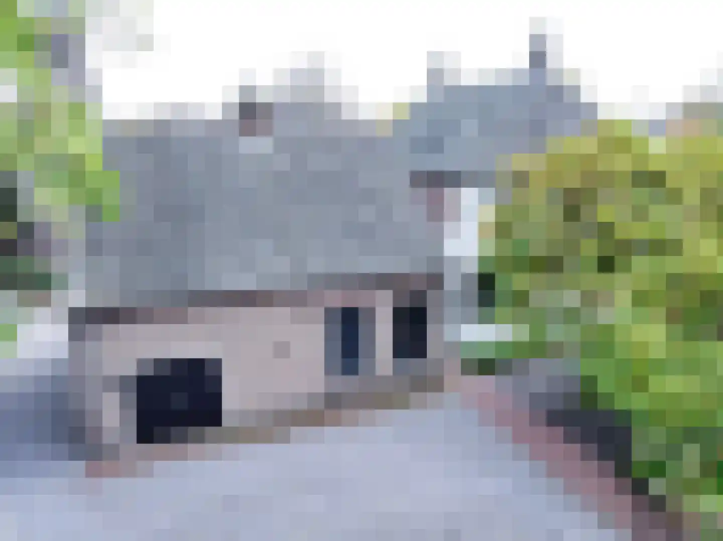 Dorpsstraat 1 Bakel thumbnail 101