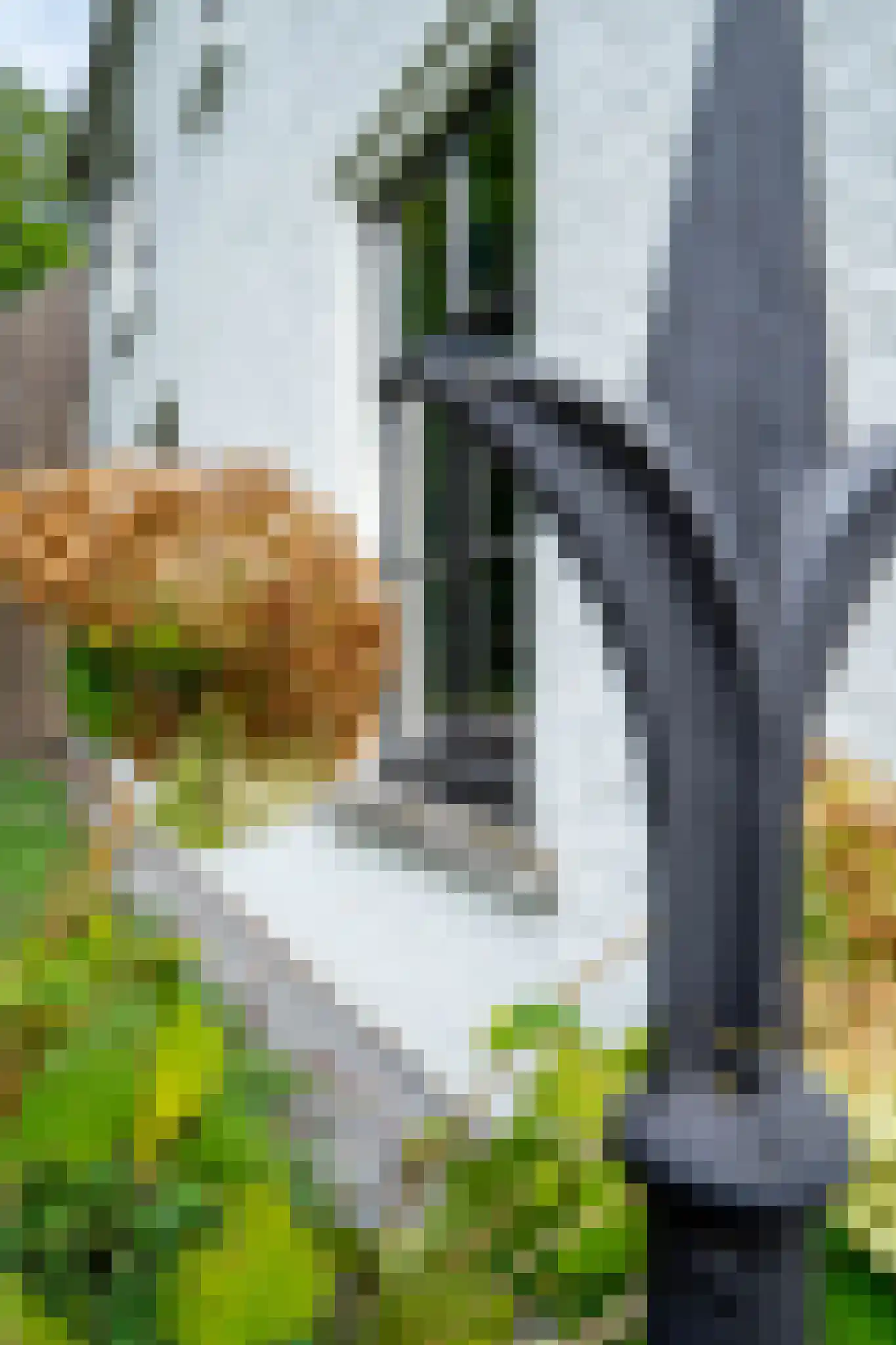 Dorpsstraat 1 Bakel thumbnail 8