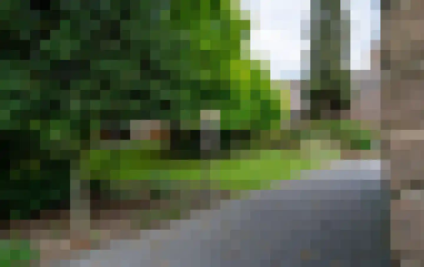 Dorpsstraat 1 Bakel thumbnail 88