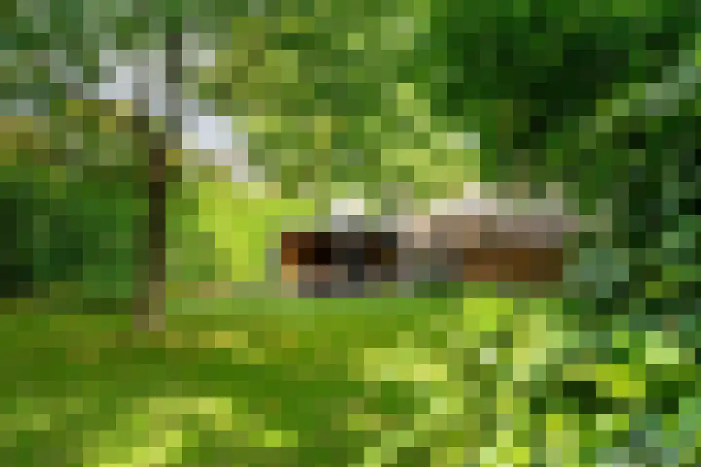 Dorpsstraat 1 Bakel thumbnail 89