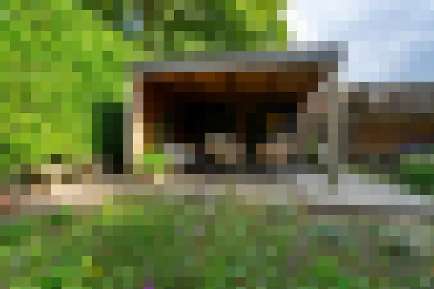 Dorpsstraat 1 Bakel thumbnail 90