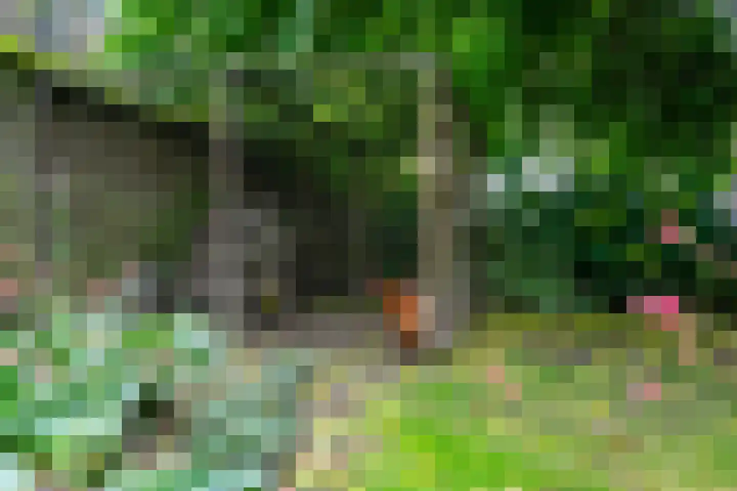 Dorpsstraat 1 Bakel thumbnail 91