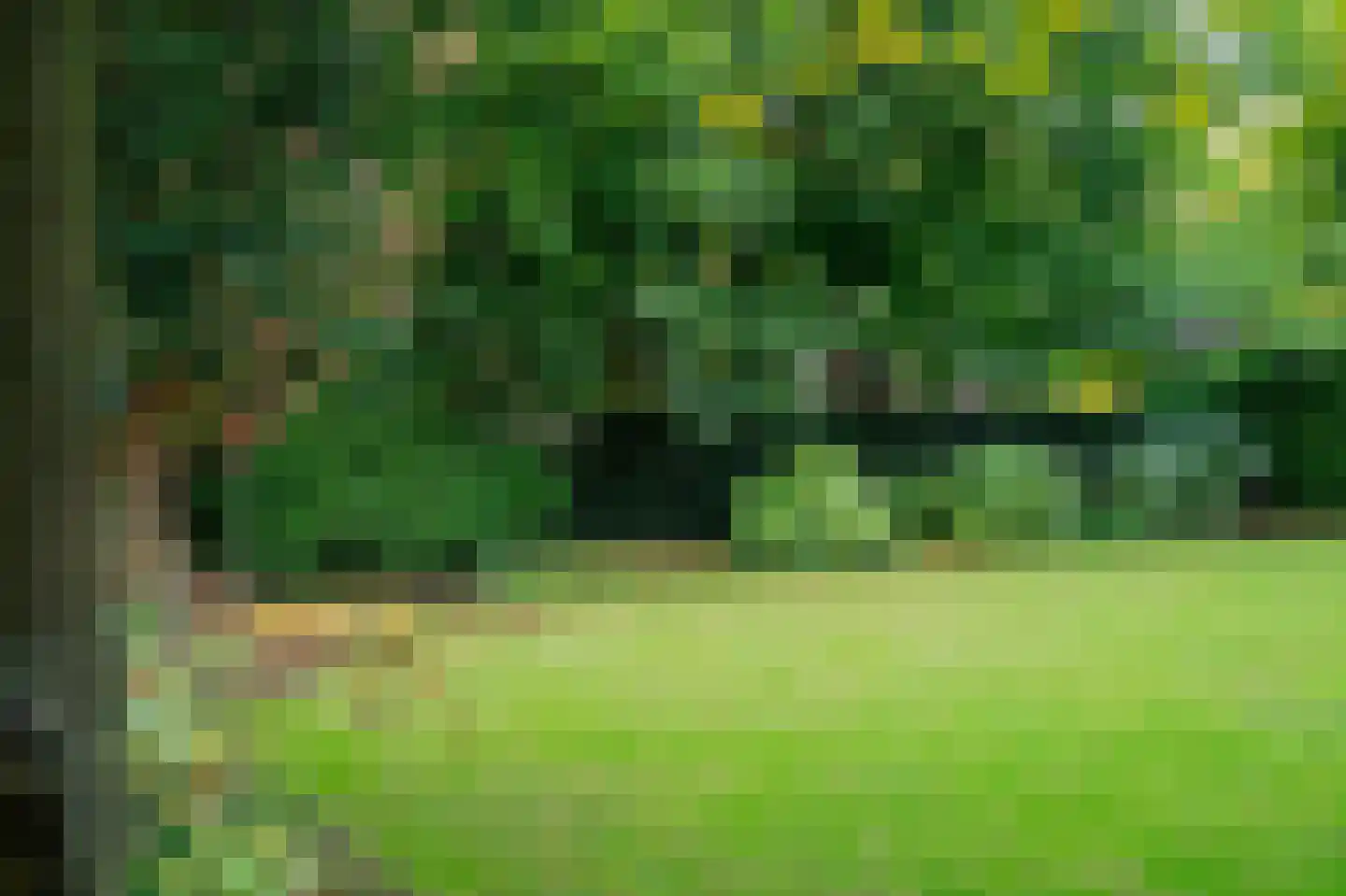 Dorpsstraat 1 Bakel thumbnail 93