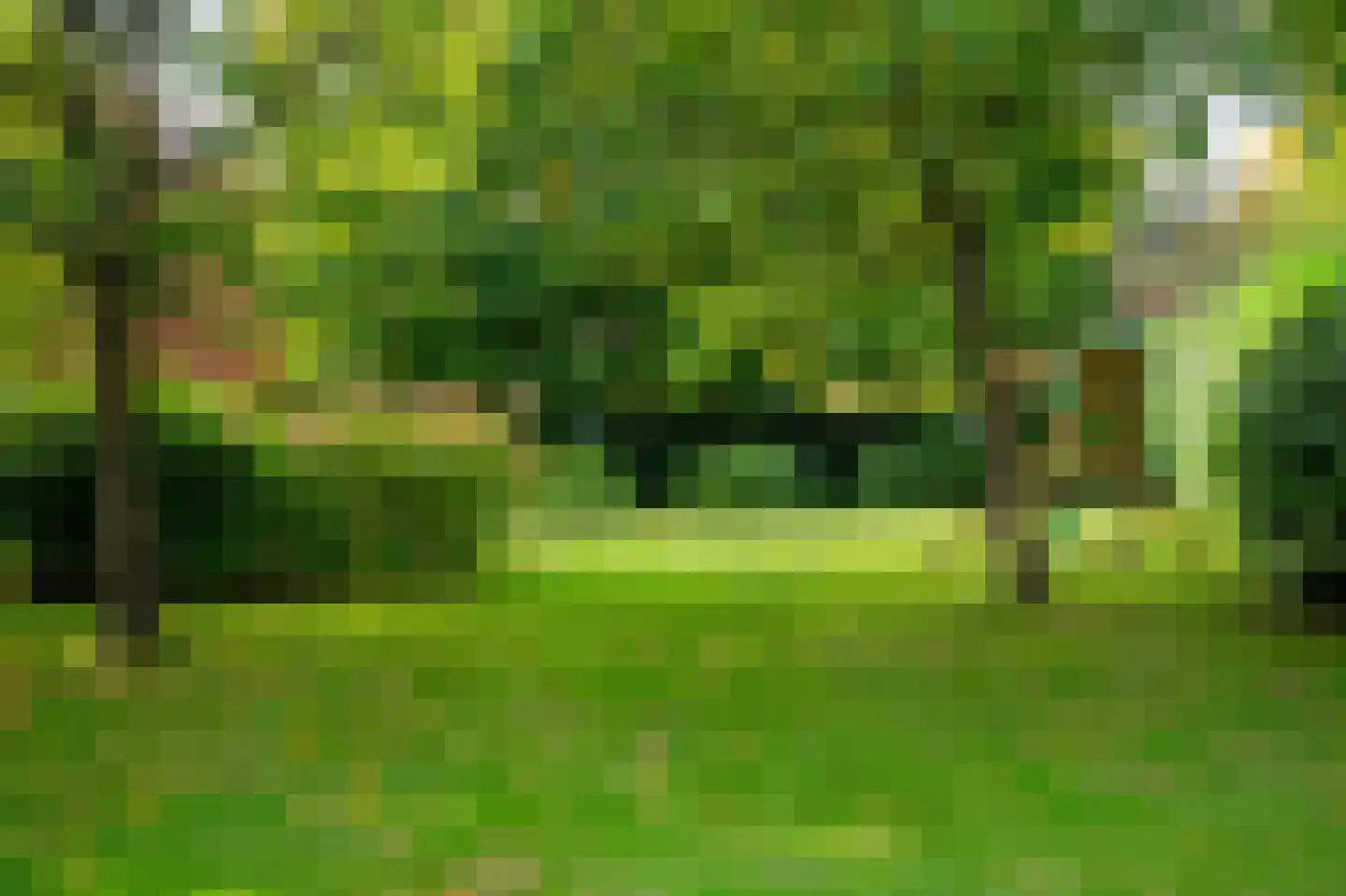 Dorpsstraat 1 Bakel thumbnail 94