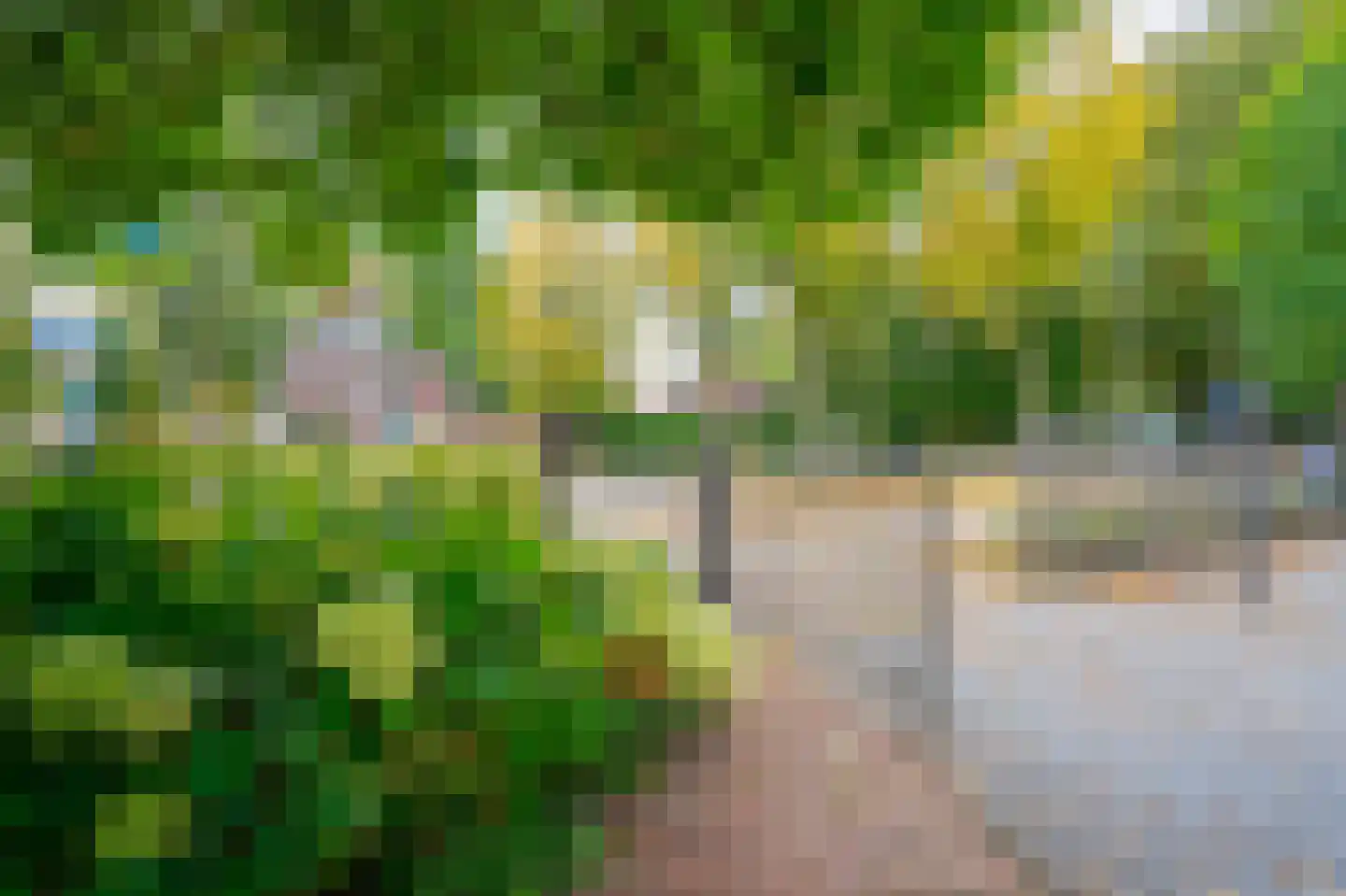 Dorpsstraat 1 Bakel thumbnail 98