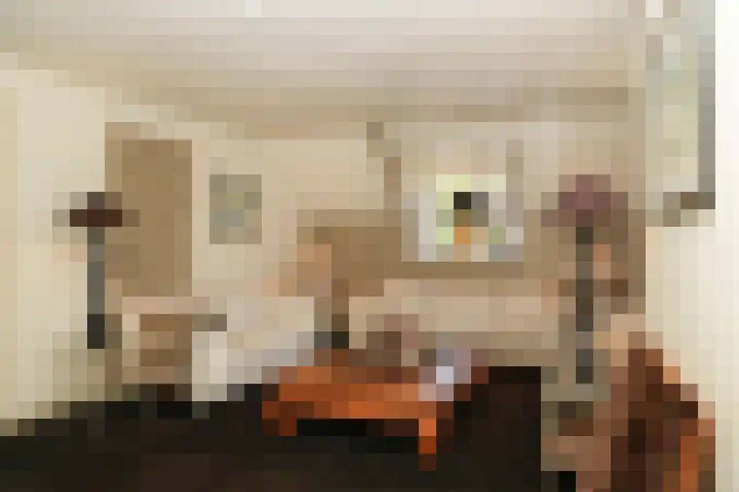 Dorpsstraat 1 Esch thumbnail 23