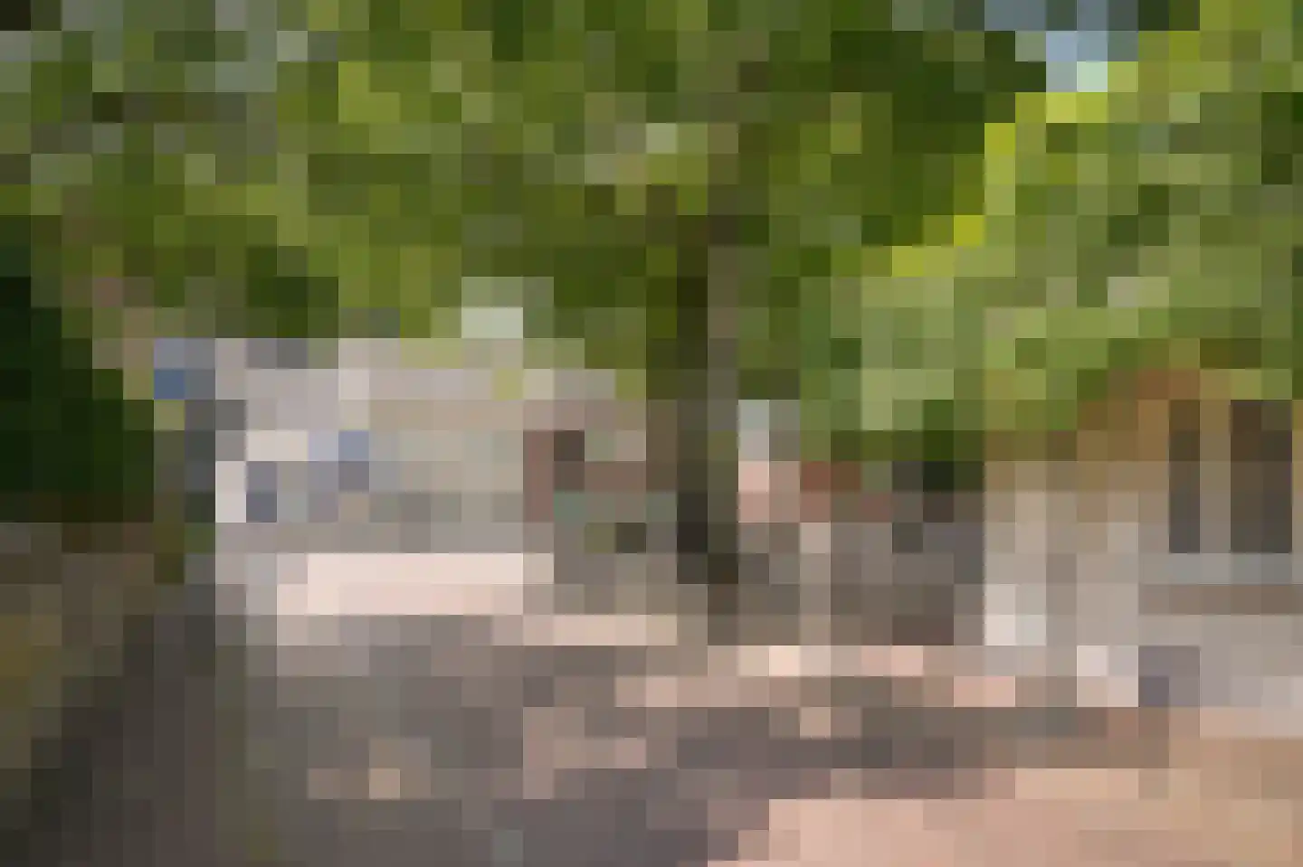 Dorpsstraat 1 Esch thumbnail 36