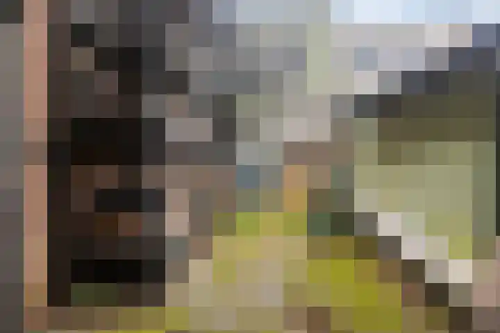 Dorpsstraat 10 Obdam thumbnail 34