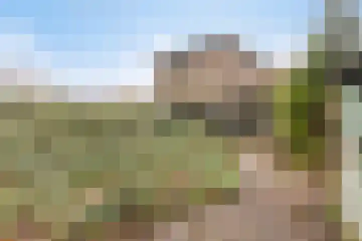 Dorpsstraat 10 Obdam thumbnail 37