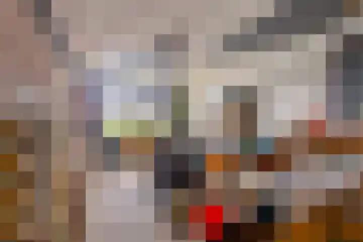 Dorpsstraat 10 Obdam thumbnail 7
