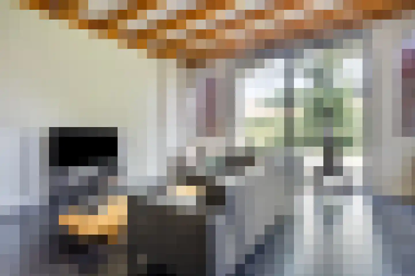 Dorpsstraat 10 Steenderen thumbnail 11