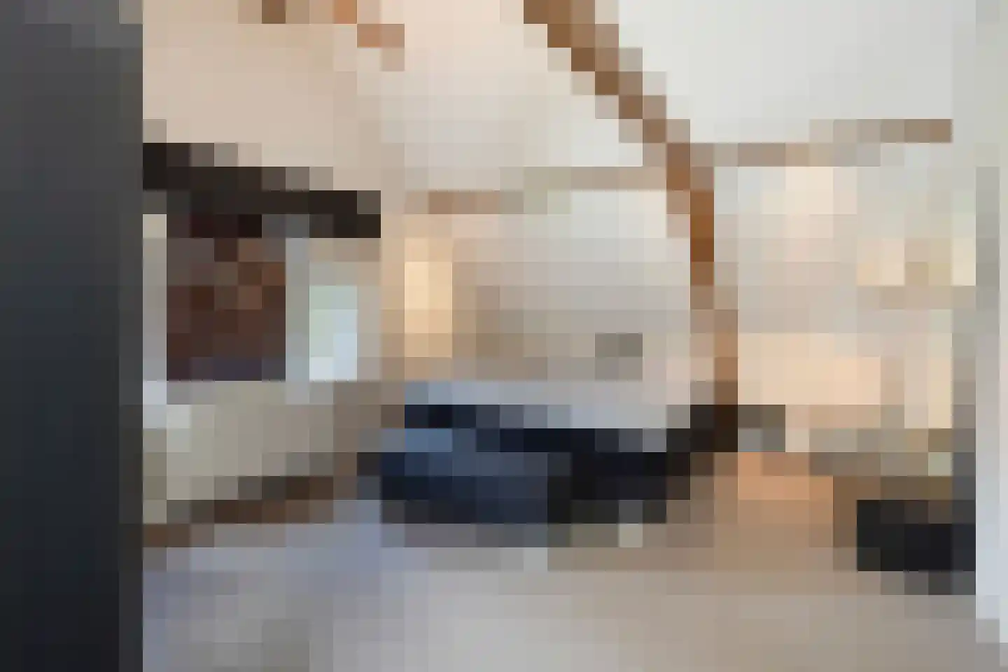 Dorpsstraat 10 Steenderen thumbnail 17